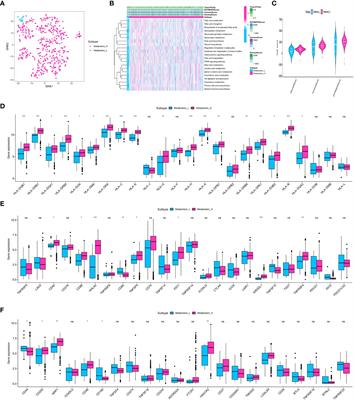 Importance of metabolic and immune profile as a prognostic indicator in patients with diabetic clear cell renal cell carcinoma